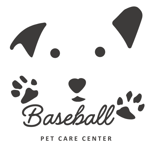 Baseball Store
